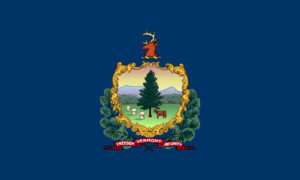 Flag of Vermont, USA