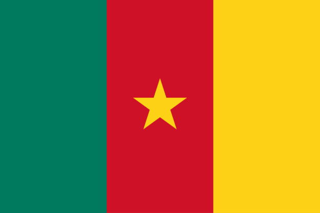 Flag of Cameroon